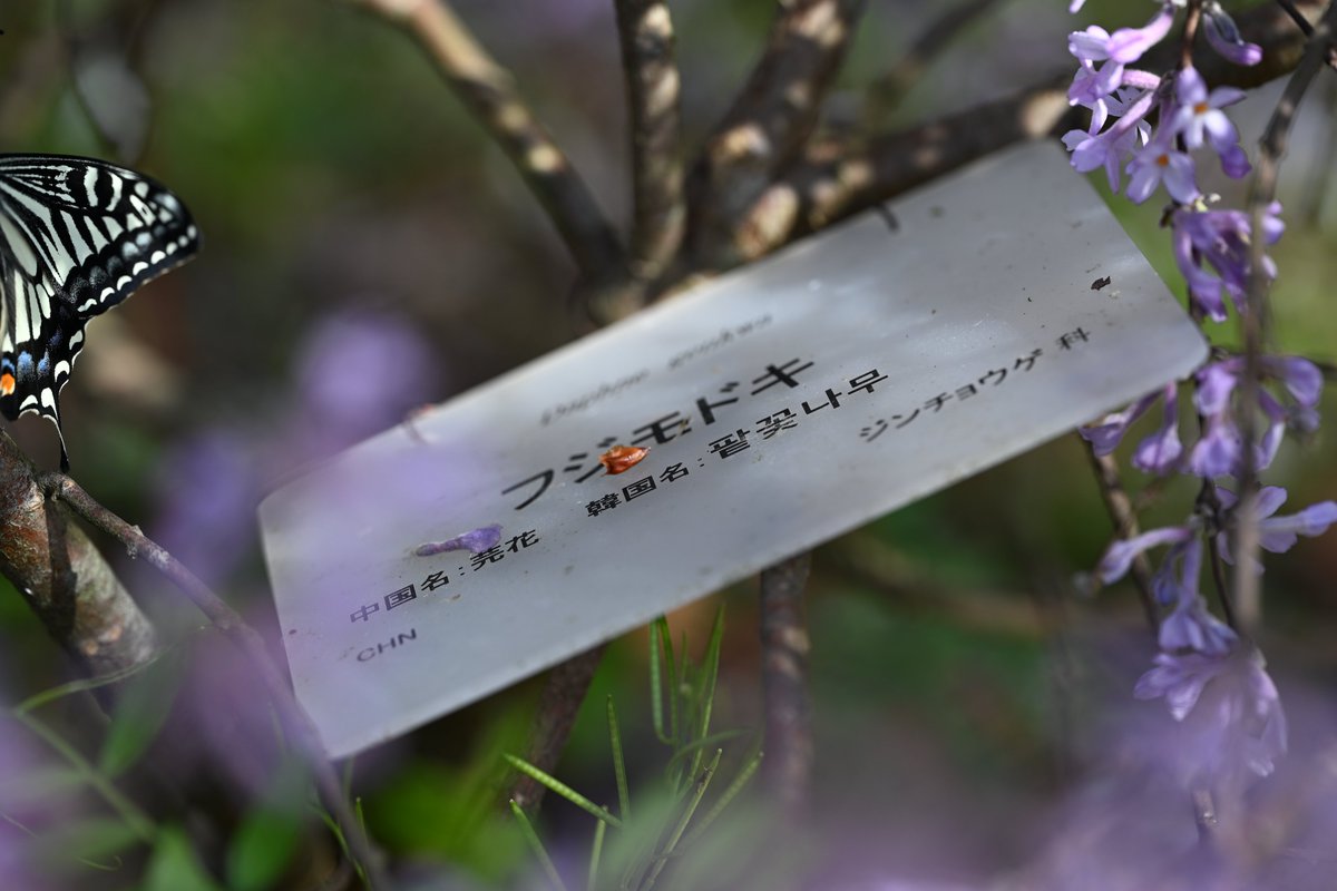 kensukevr6 tweet media