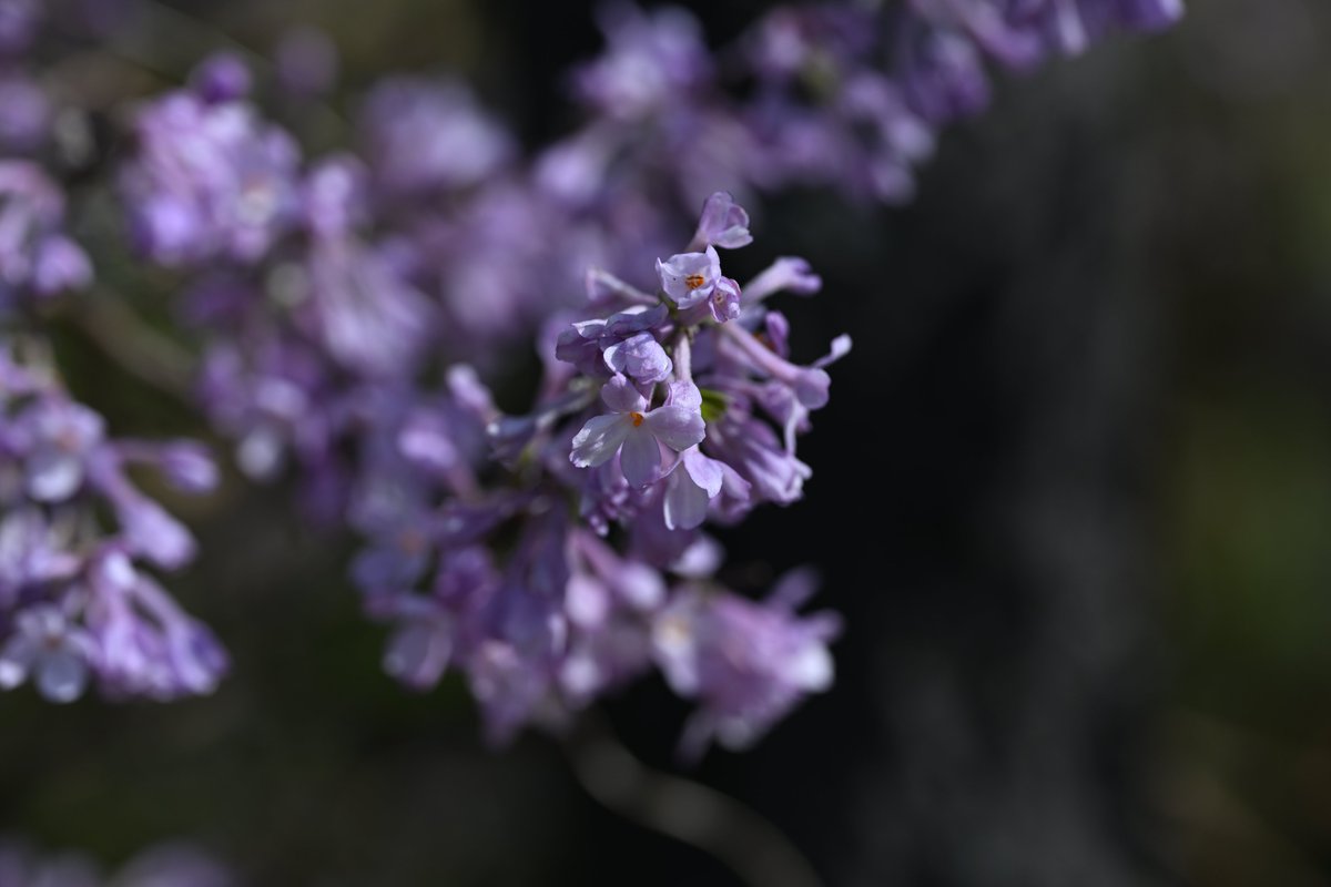 kensukevr6 tweet media