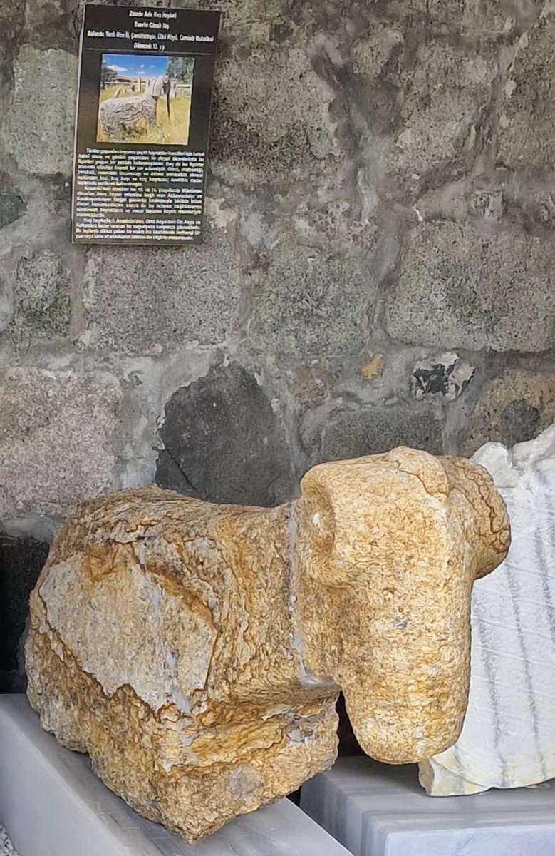 Mustafa Aksoy tweet media