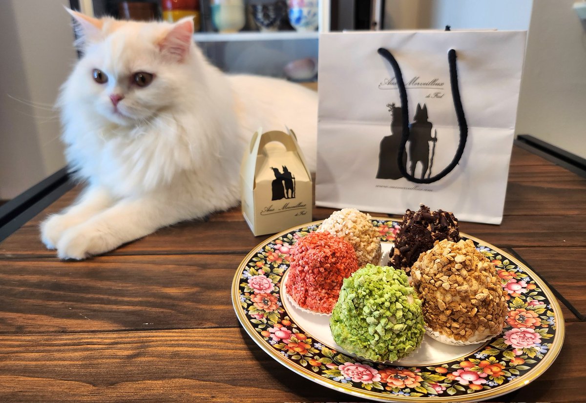 もぴ--✈︎ tweet media