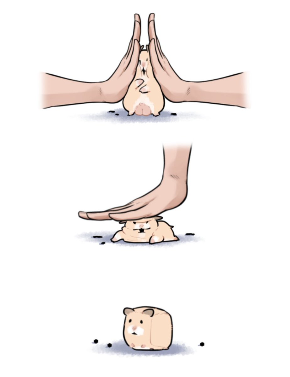 ๏พ๏พใซใใใใ tweet media