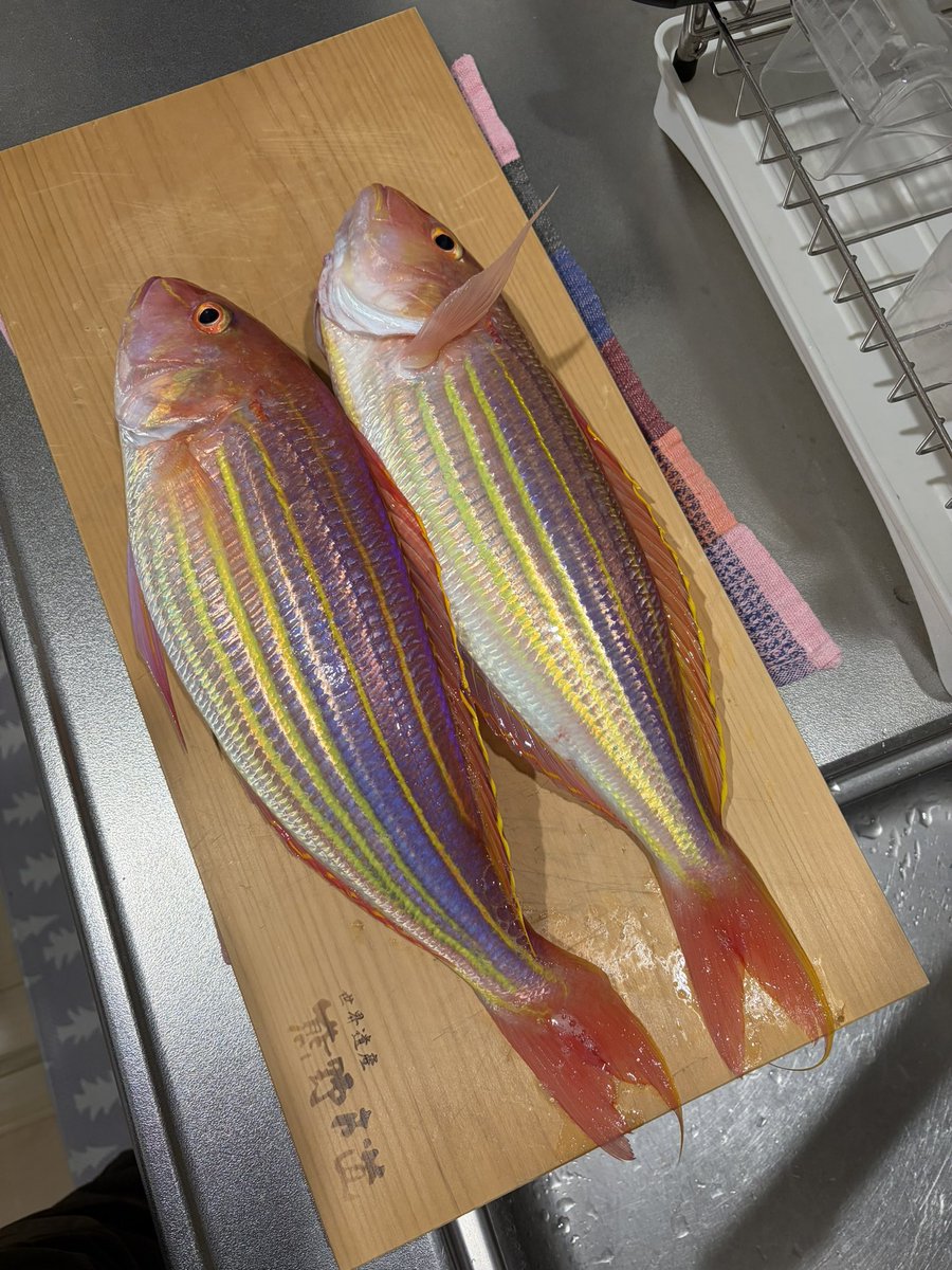 キーさん tweet media