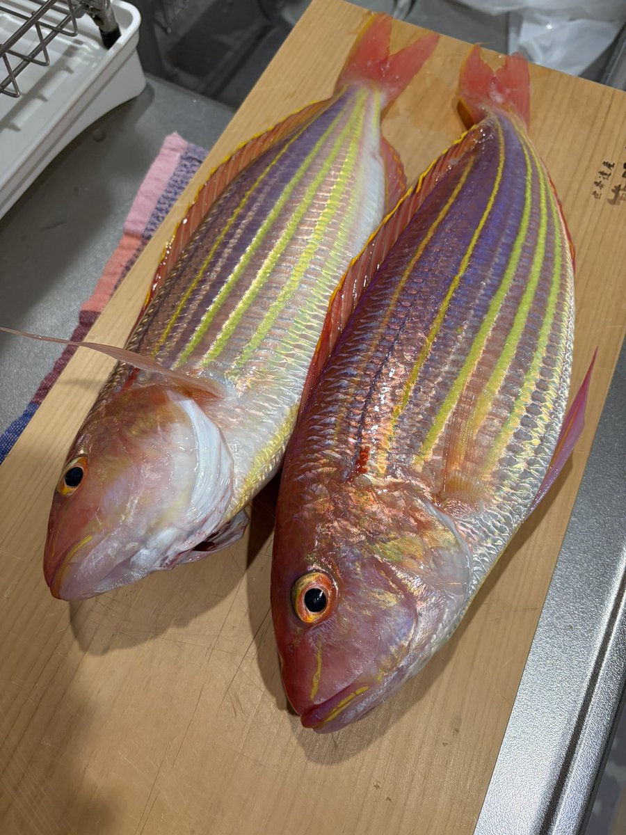 キーさん tweet media