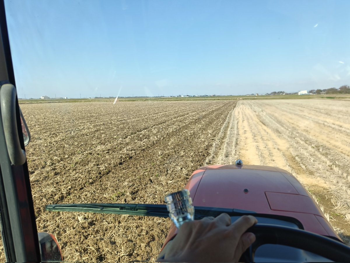 水道水 tweet media