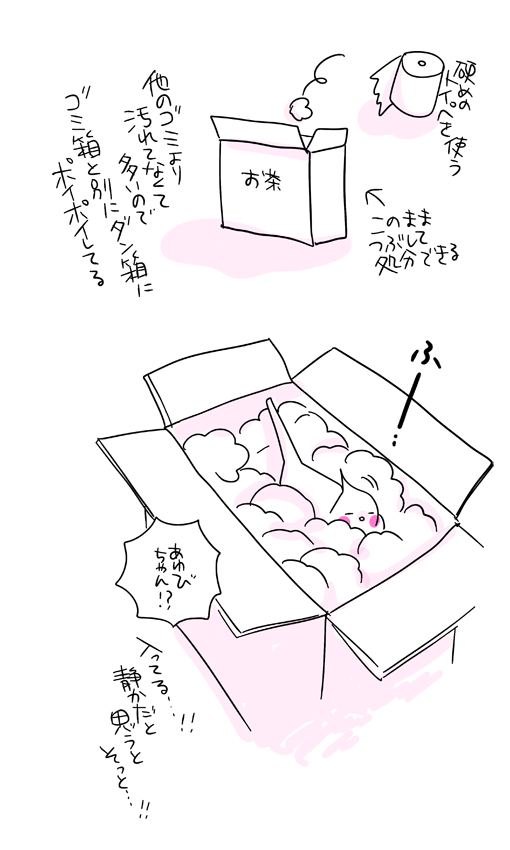 インコはほんとにほんとにほんとに飼いにくいよ！！
……と定期的に主張しとこうと思います(*´◒`*)