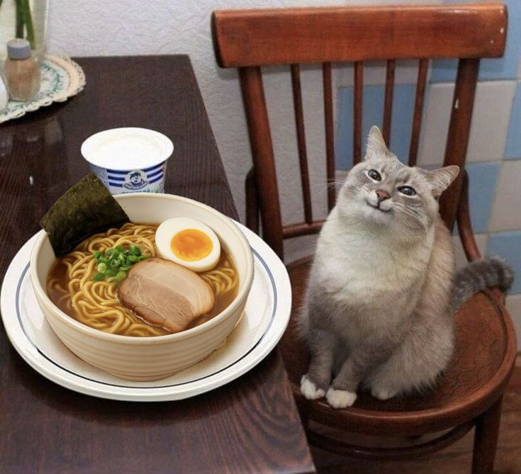 졸멩이 tweet media