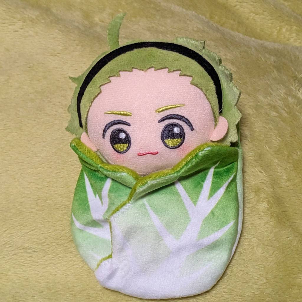 芽キャベツちゃん、最近は白菜ちゃんにも抜擢され、トウモロコシちゃんになるための練習も重ねており、多彩なお野菜活動に励んでいます。
(※御手洗翔太くんのぬいぐるみを芽キャベツちゃんと呼んでいます)