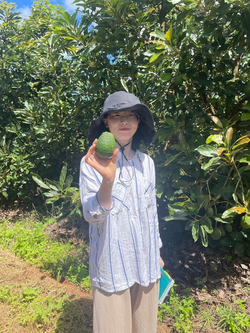 ZimTrade tweet media