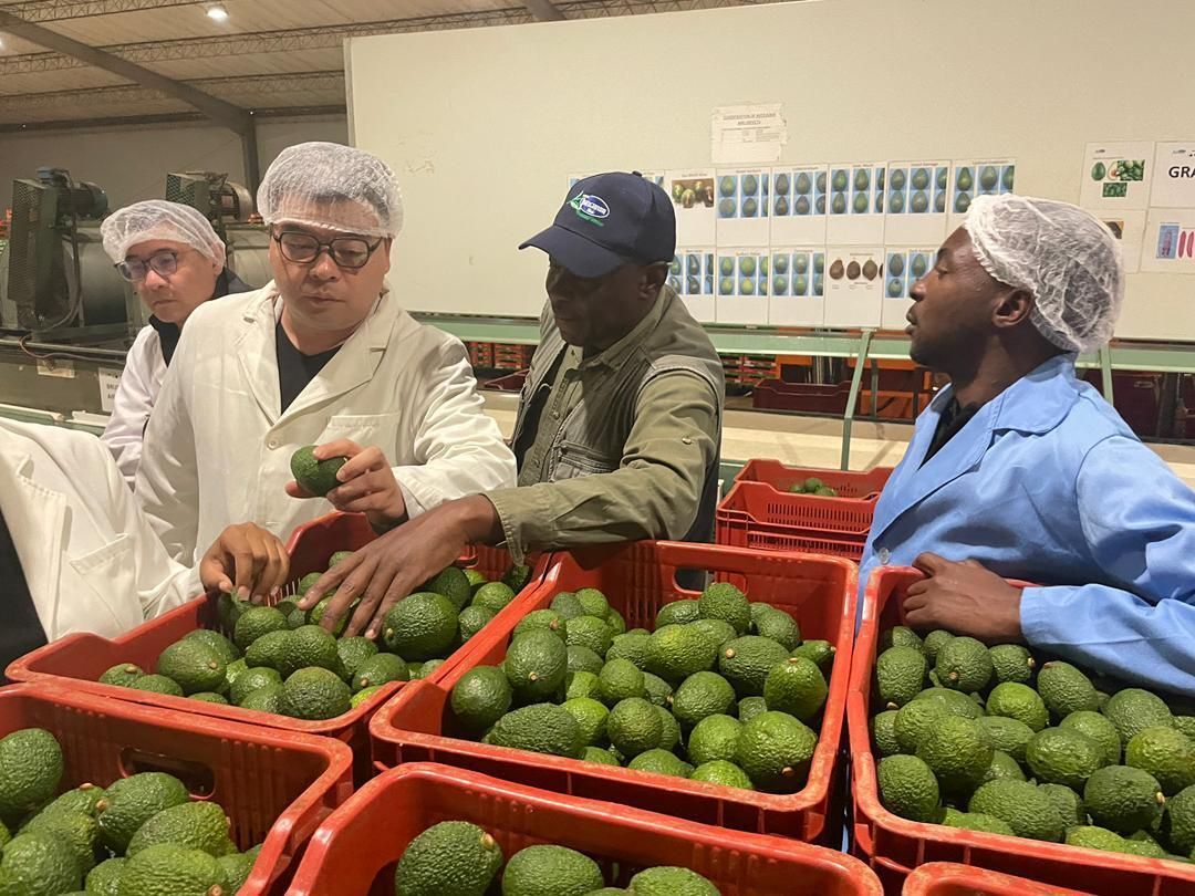 ZimTrade tweet media