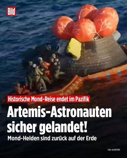 Schonungslos tweet media