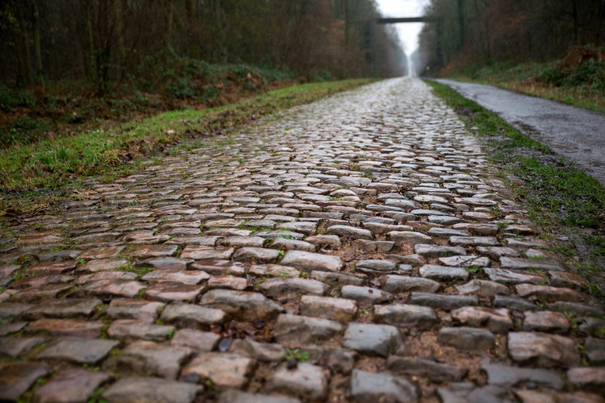 leparisiensport's tweet photo. Sangliers, chèvres, tracteurs, décharges sauvages ou… cyclistes : la vie secrète des pavés de Paris-Roubaix
➡️ https://t.co/9HNB3cWC4T https://t.co/ZuOi0Kxkgb