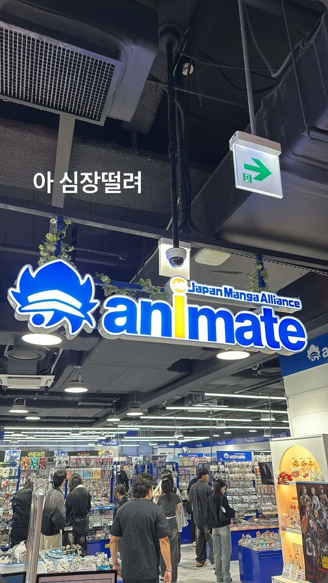 핫카이브 tweet media