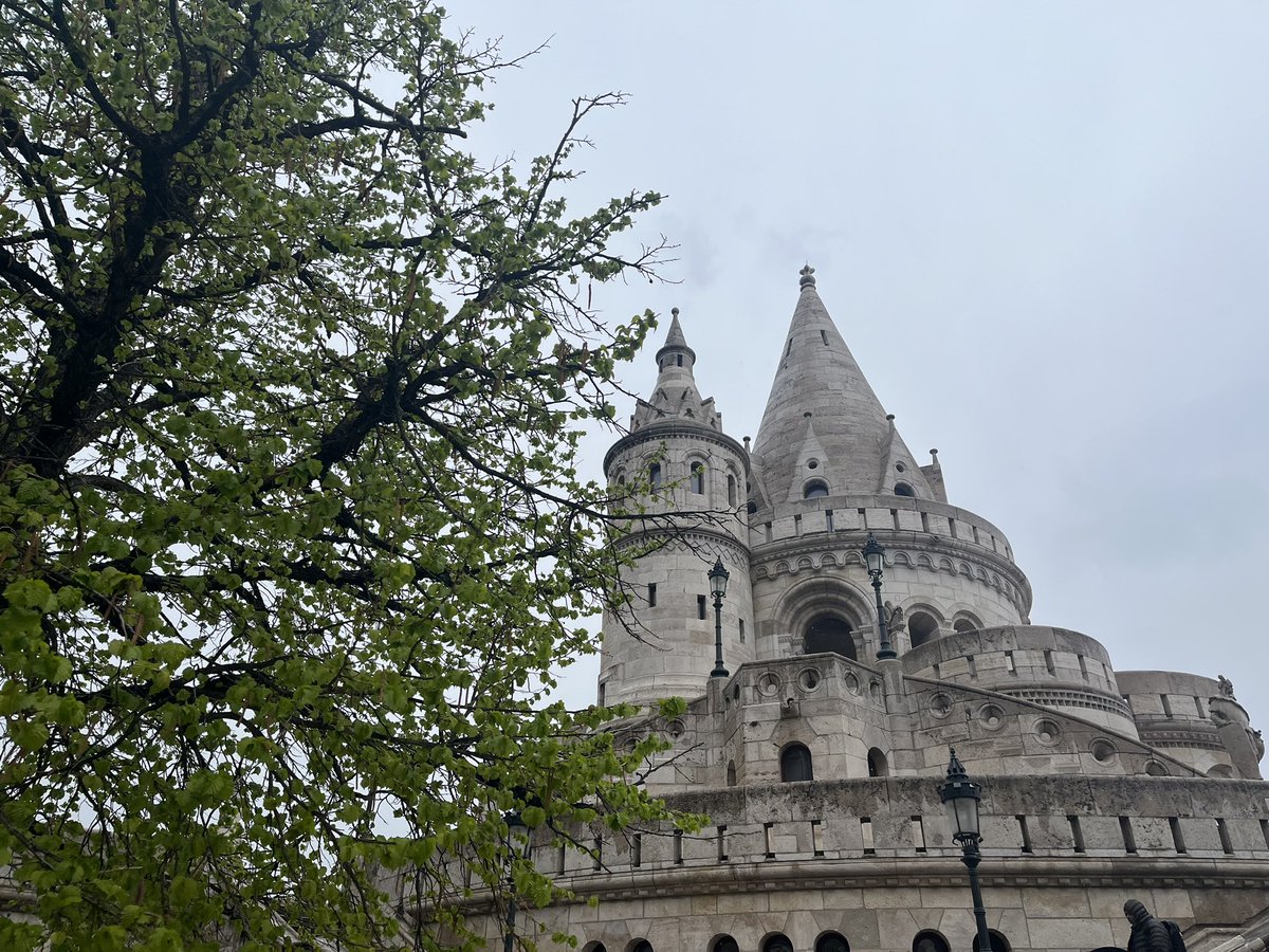 Cotswold Carp Farm Campsite tweet media