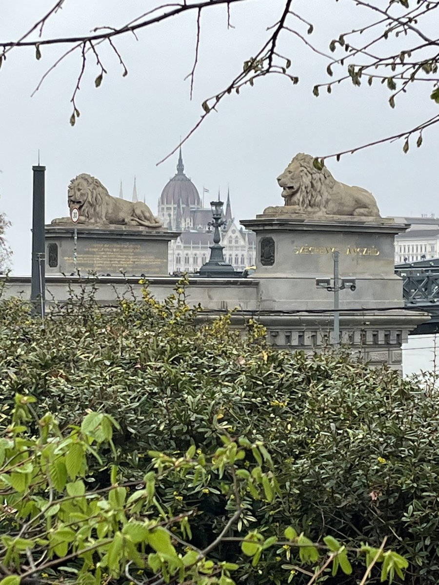 Cotswold Carp Farm Campsite tweet media