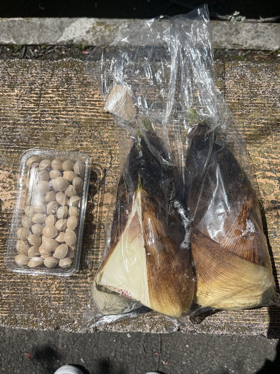 菜生🌾Ghost福岡1日目 tweet media