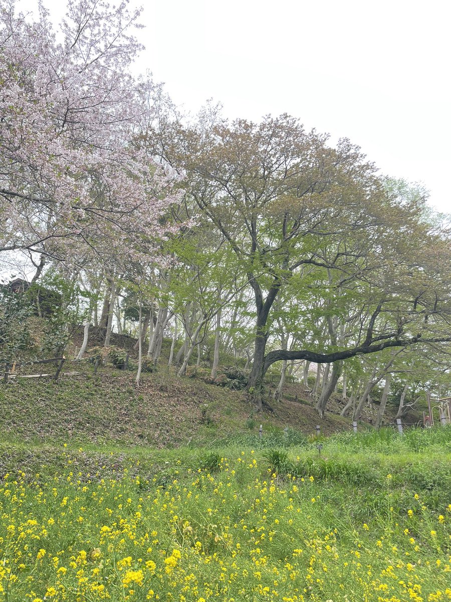 写真、会場のパン屋さん&amp;食堂、
吾妻山公園、二宮町…
穏やかで心地よい時間を
過ごせました😊✨

一つ一つの大切な時間に
思いを馳せながら かみしめました✨
また味わいたいです💫

#KotaOgasawara
#写真展

#BoulangerieYamashita食堂
#ブーランジェリーヤマシタ

#二宮駅 徒歩10分
#神奈川
🅿️あり