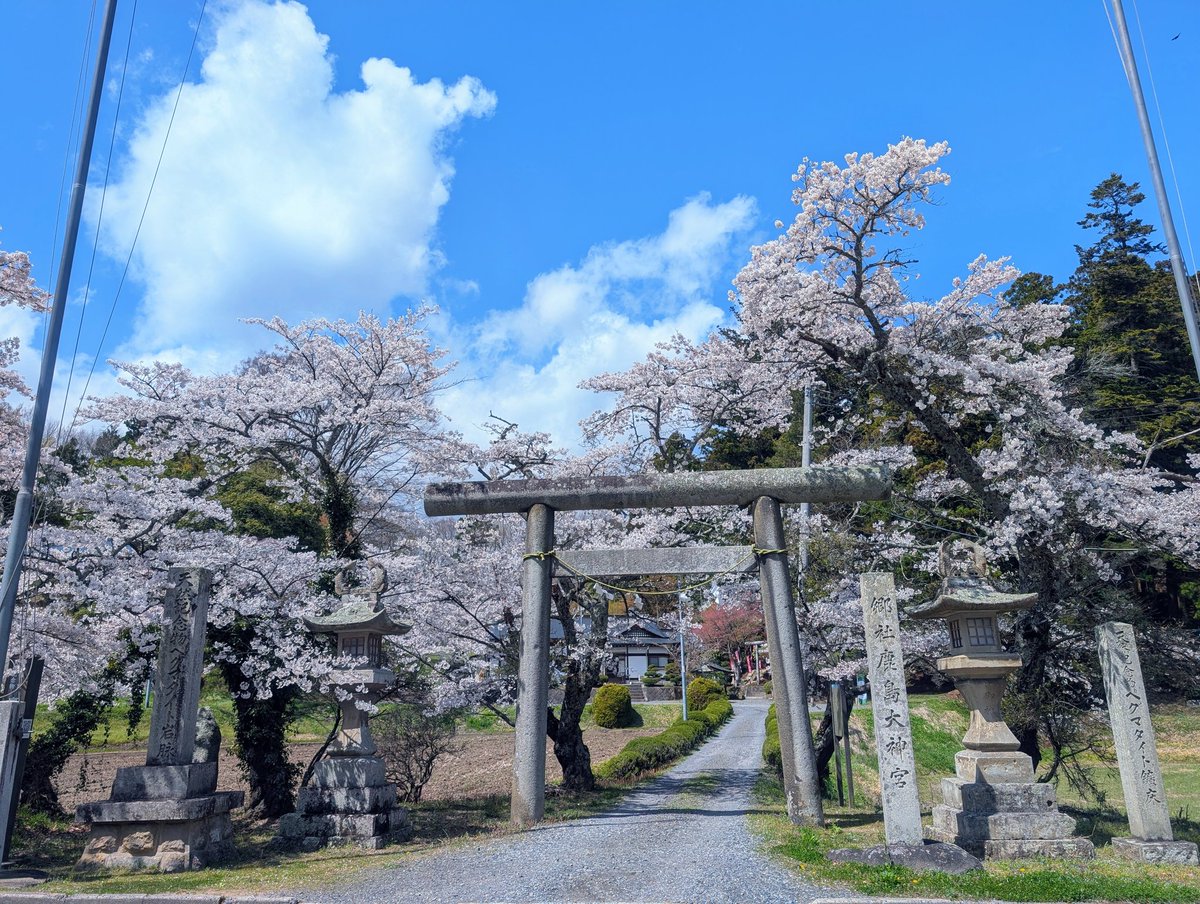 雪⛰️国 tweet media