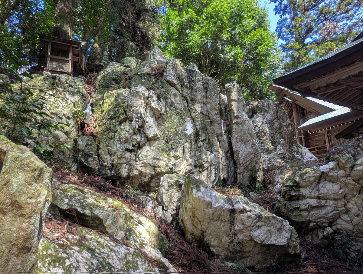 雪⛰️国 tweet media