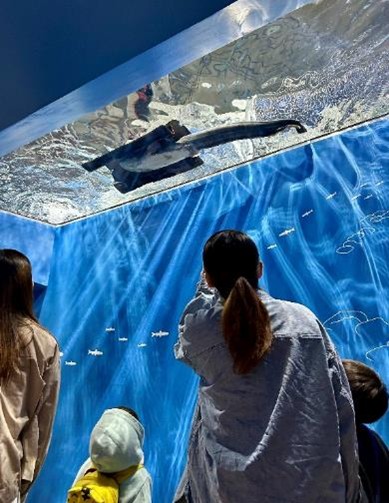 滋賀県立琵琶湖博物館【公式】 tweet media