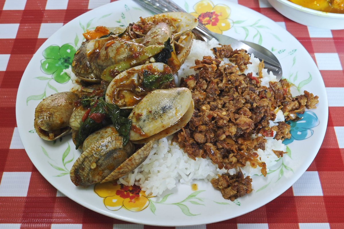 尻尾のない犬 tweet media