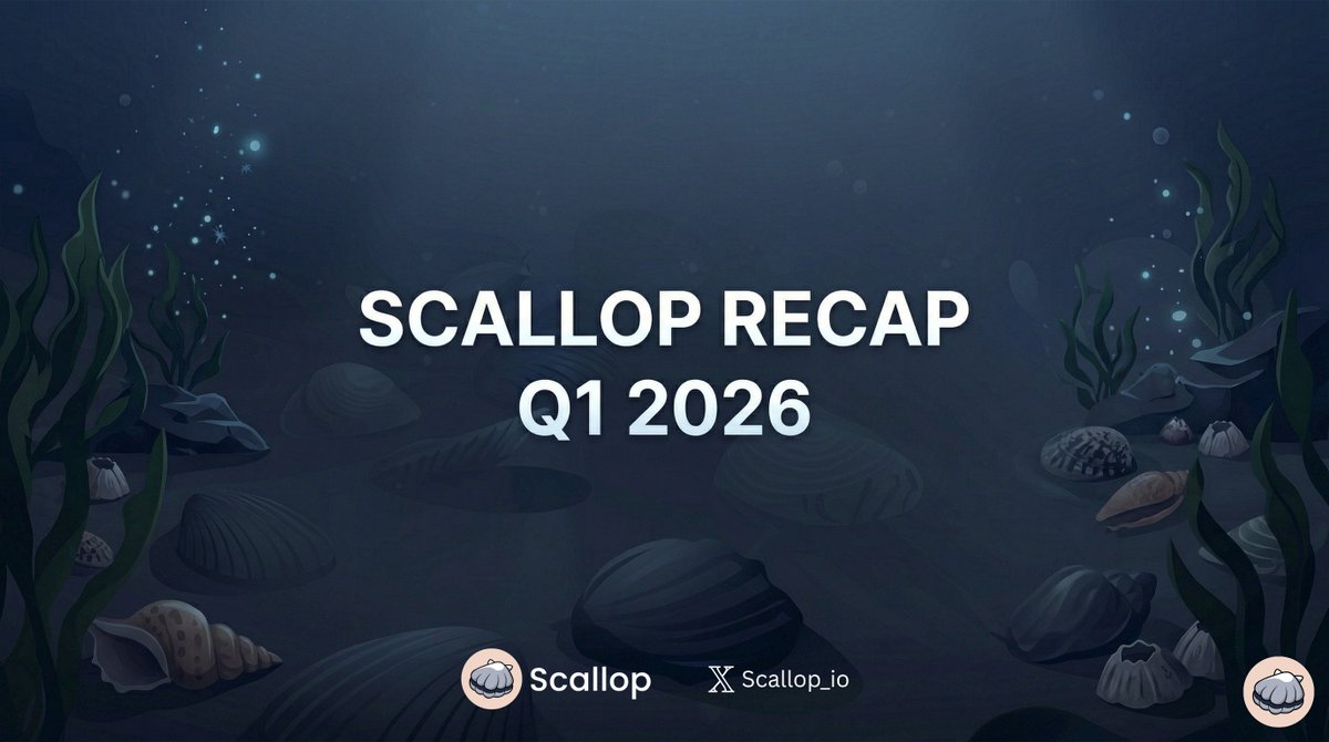 Scallop India tweet media