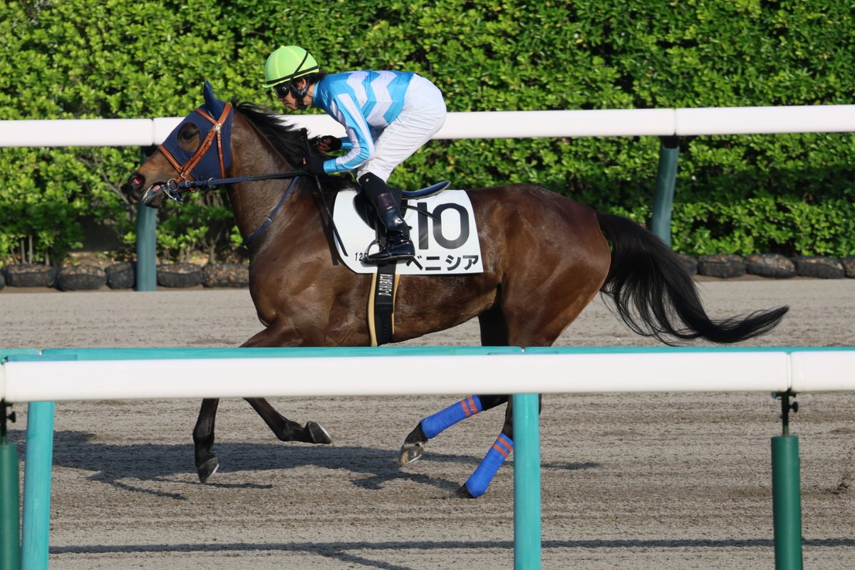 イッシー tweet media