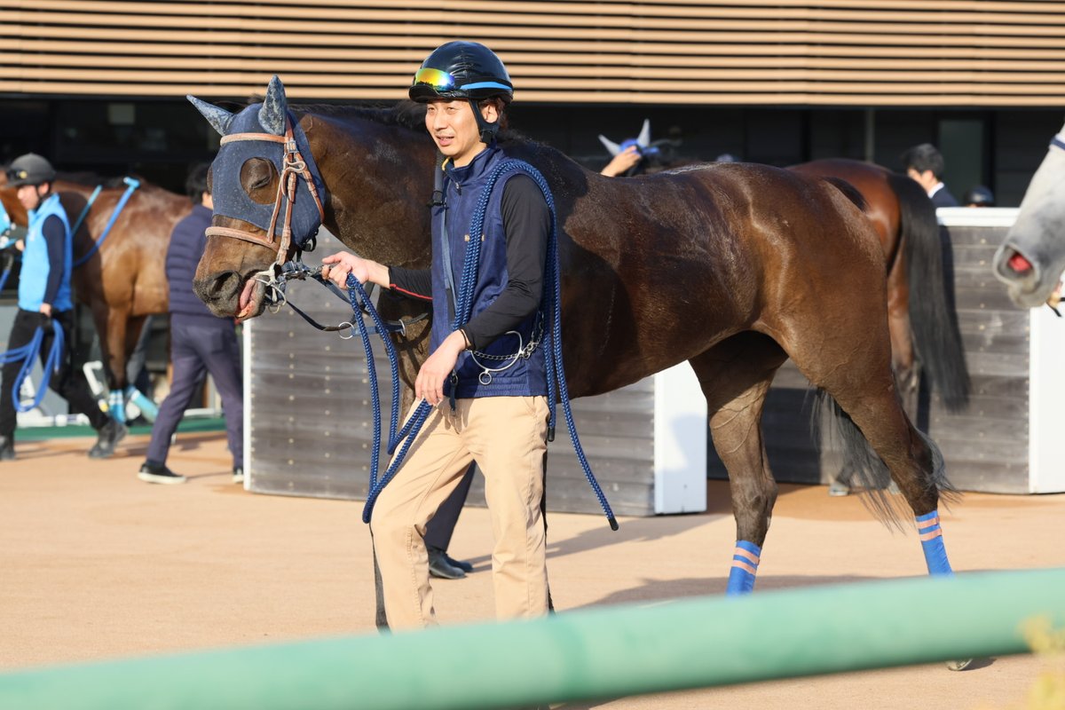 イッシー tweet media