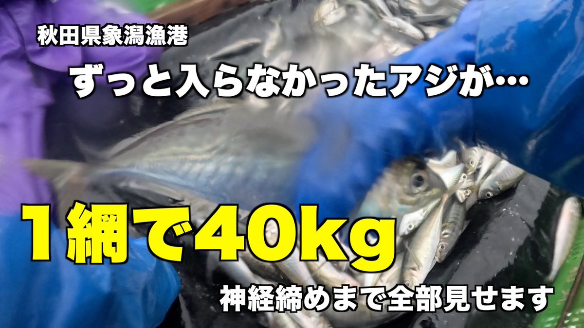 かずなり@漁tuber tweet media