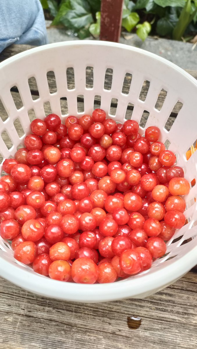 Le Xueyi tweet media