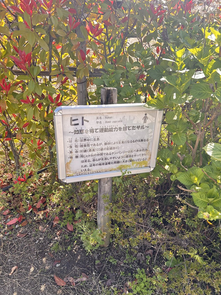 ことり tweet media