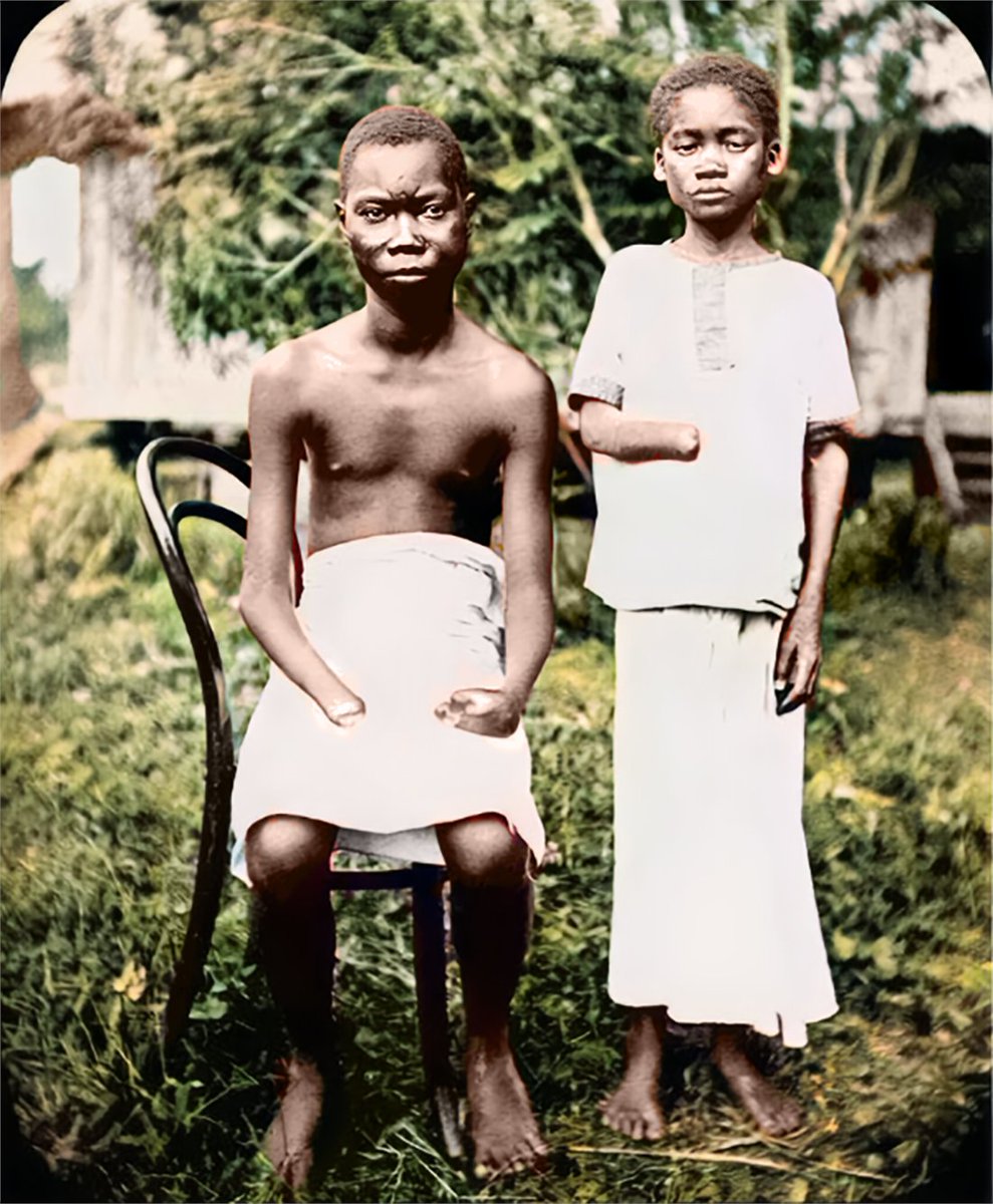 Daniel Mayakovski tweet media