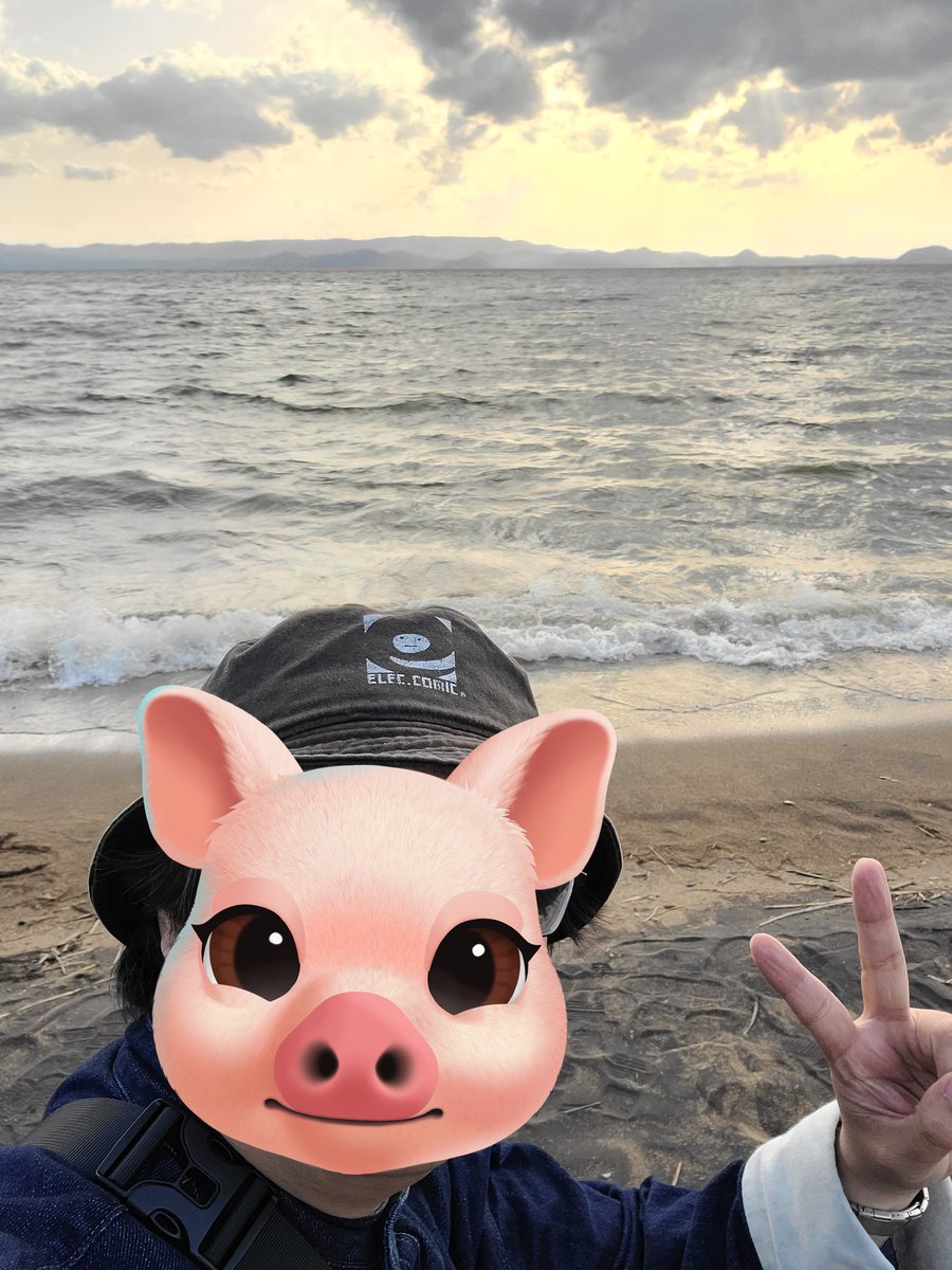 遅刻豚⏰😭🚍🐷 tweet media