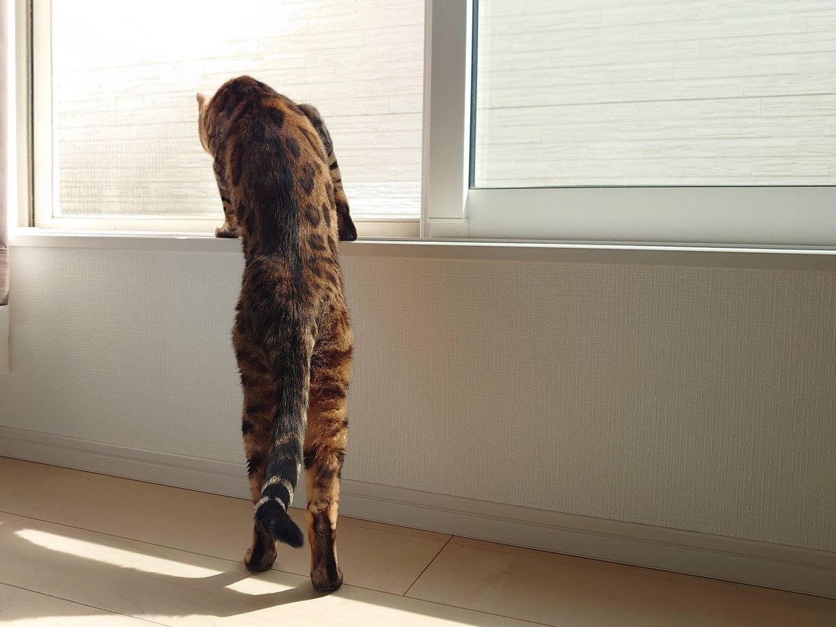 【公式】フロム蔵王/山田乳業㈱ tweet media