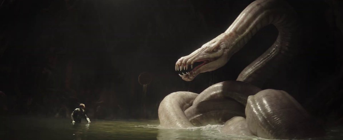 Daily Pop tweet media