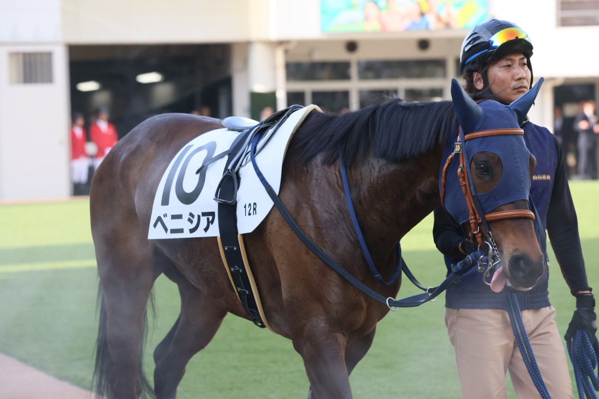 イッシー tweet media