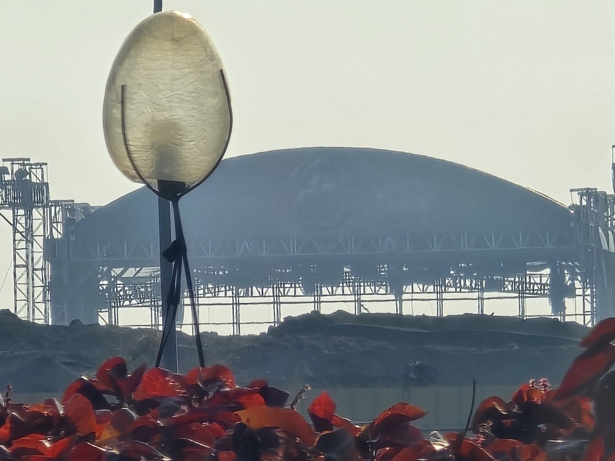 Catherine˙⋆✮ tweet media