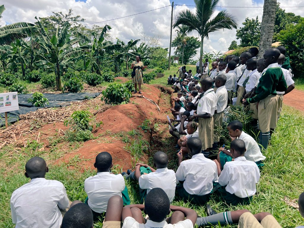 NARO_MUZARDI tweet media