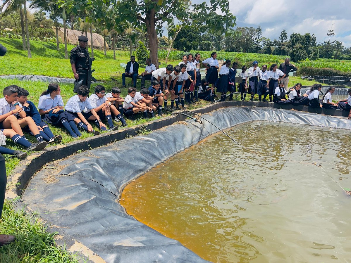 NARO_MUZARDI tweet media