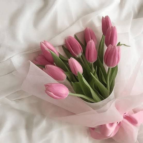 ปะป่าน tweet media