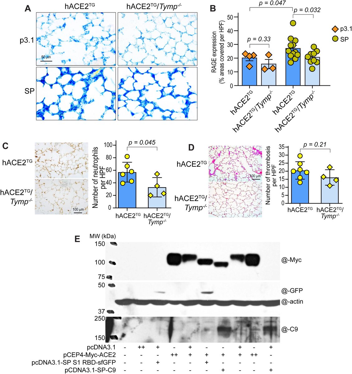 Vipin M. Vashishtha tweet media