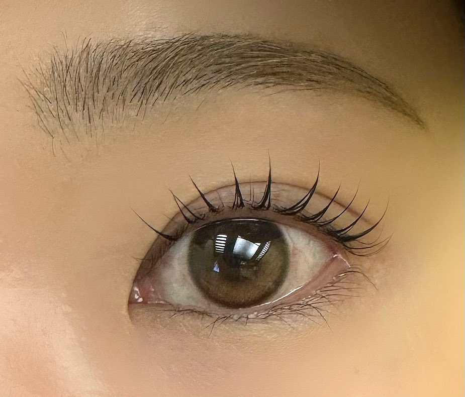 今日まつげパーマ行ってきたけどリリーイブのラッシュセラムのおかげでめっちゃ綺麗な仕上がりで神( ɞ̴̶̷ ̫ ʚ̴̶̷ )✨️✨️✨️
本当はまつパ後にあげたかったので再レポ♡