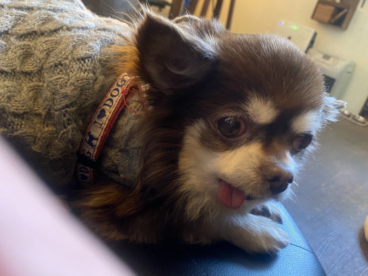 おまちゃ／xxナイトxx tweet media