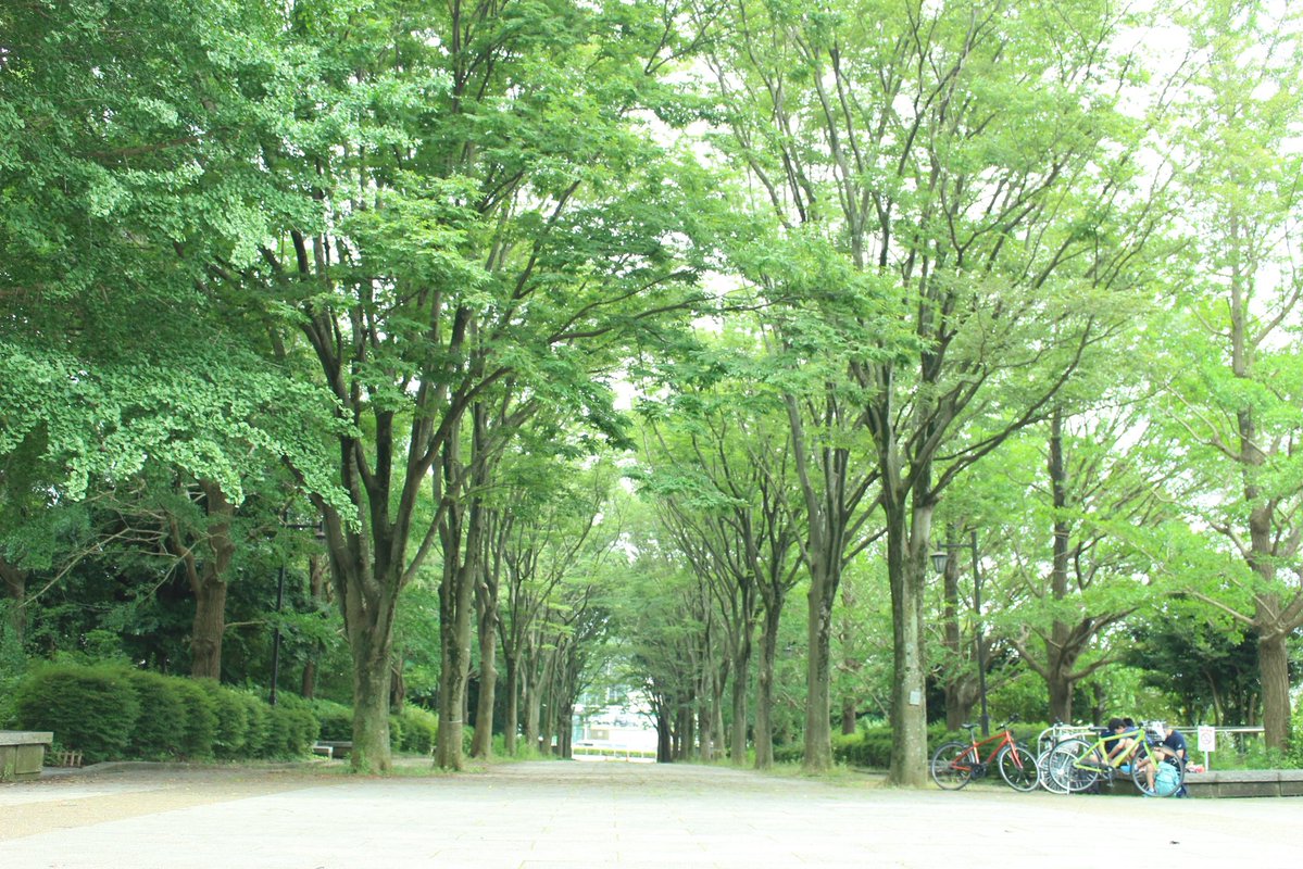 えざき舎@15周年 tweet media