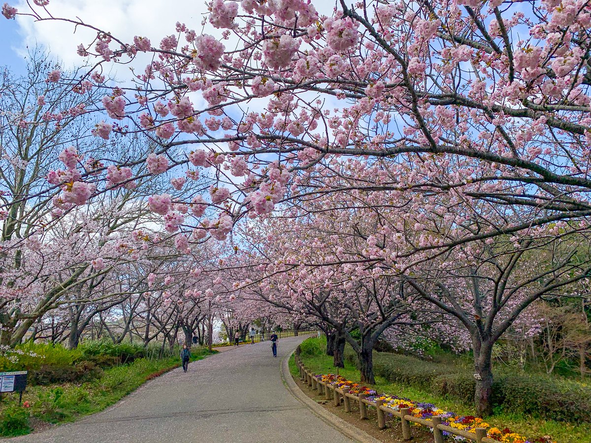 えざき舎@15周年 tweet media