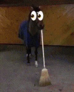 Prince Moha tweet media