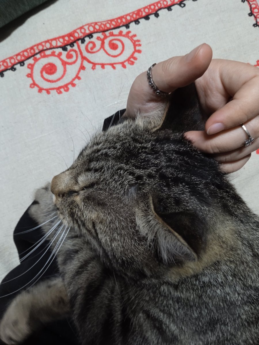 сеня к. tweet media