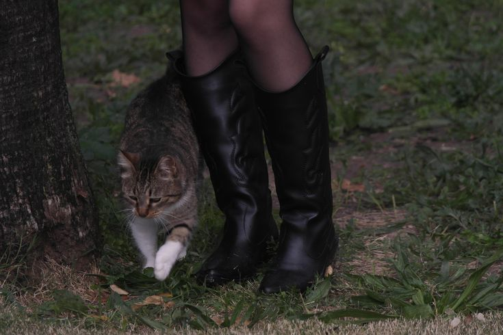 ⋅ꫂ ၴႅၴ. tweet media