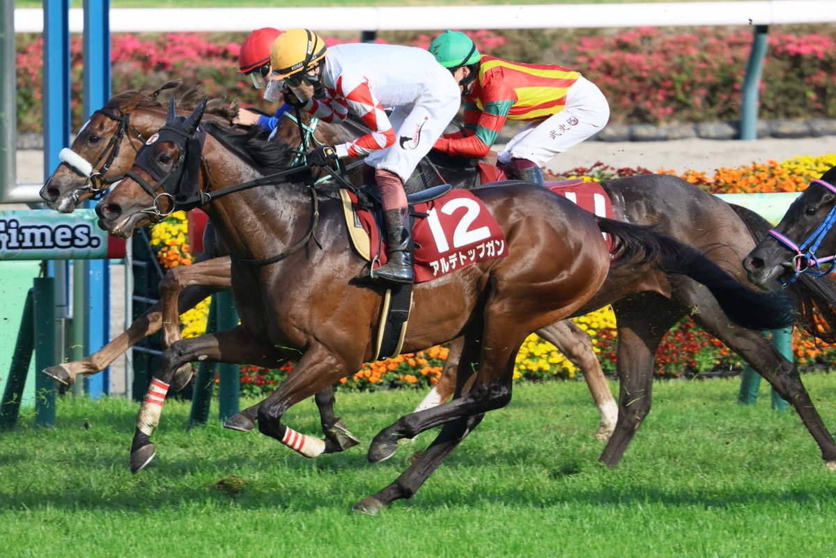 イッシー tweet media