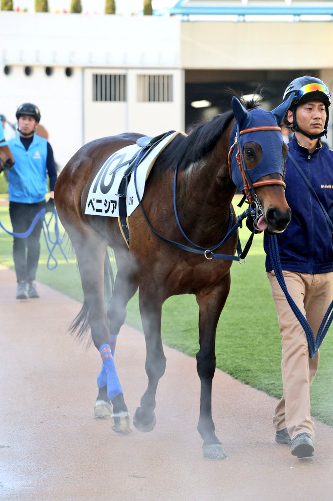 イッシー tweet media