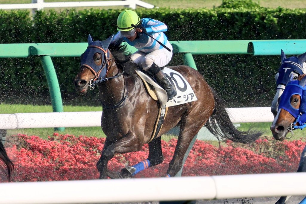 イッシー tweet media